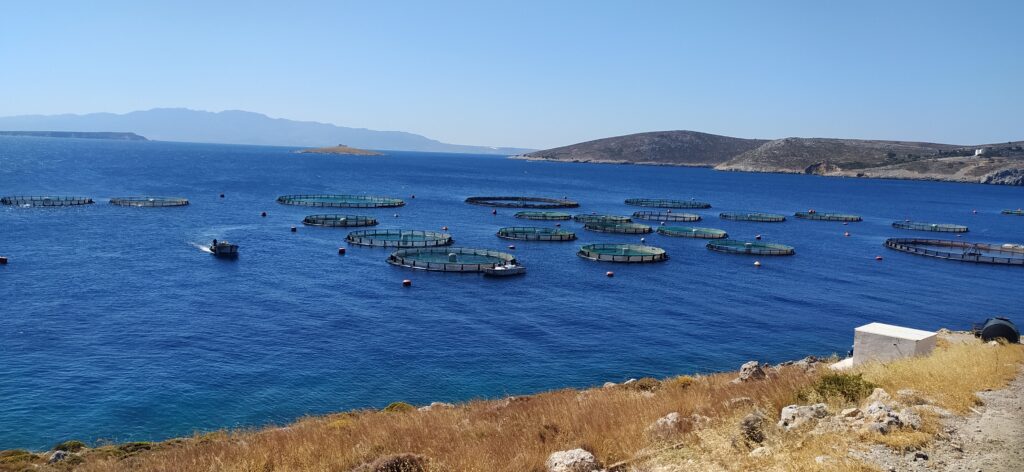 1. Αυτοψίες πεδίου στο πλαίσιο της περιβαλλοντικής αδειοδότησης σύνθετων λιμενικών εγκαταστάσεων, σταθμών αποθήκευσης και διακίνησης υγρών καυσίμων και μονάδων ιχθυοκαλλιέργειας. — φωτογραφία 2