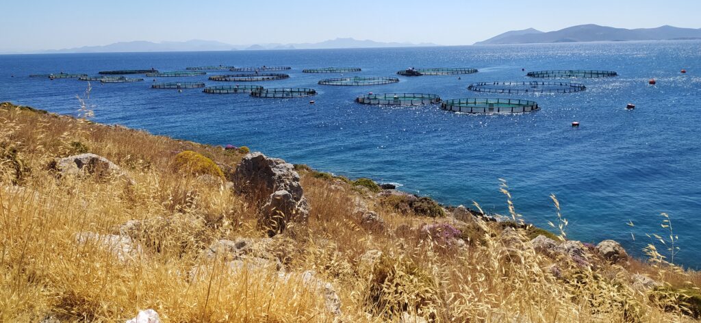 1. Αυτοψίες πεδίου στο πλαίσιο της περιβαλλοντικής αδειοδότησης σύνθετων λιμενικών εγκαταστάσεων, σταθμών αποθήκευσης και διακίνησης υγρών καυσίμων και μονάδων ιχθυοκαλλιέργειας. — φωτογραφία 1